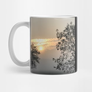 Trees in the fog during the sunset Mug